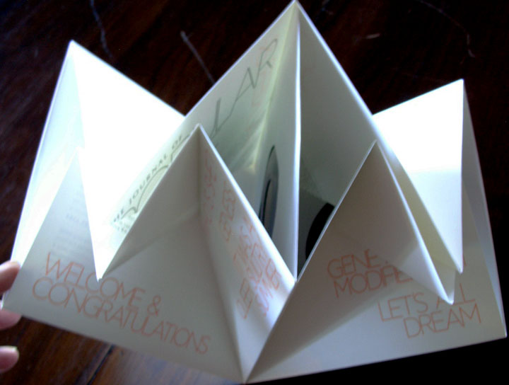 ../../../images/jrnl of pop noise4.jpg